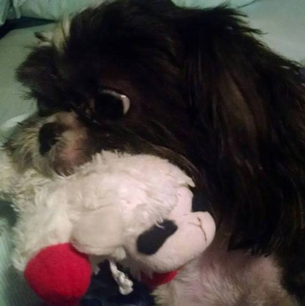 Meet your Posher, Brenda